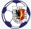 FSV Hirschberg 